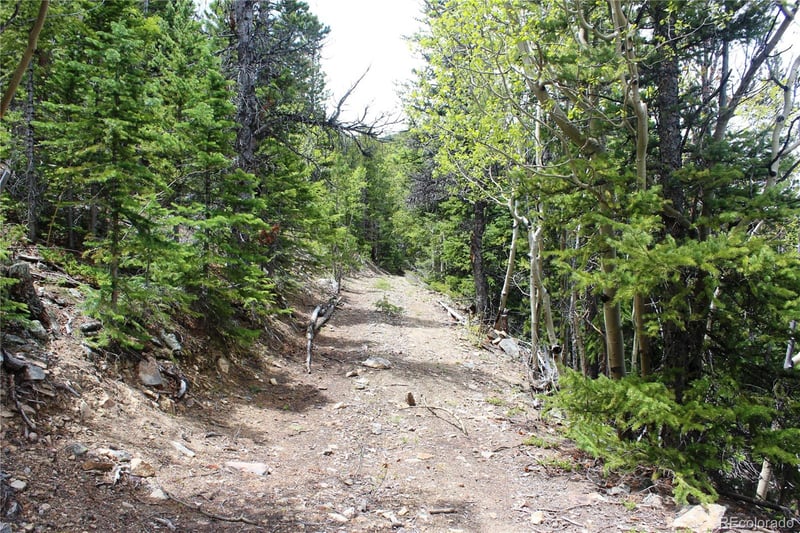 16564A Pennsylvania Lot 16564A, Idaho Springs, CO 80461