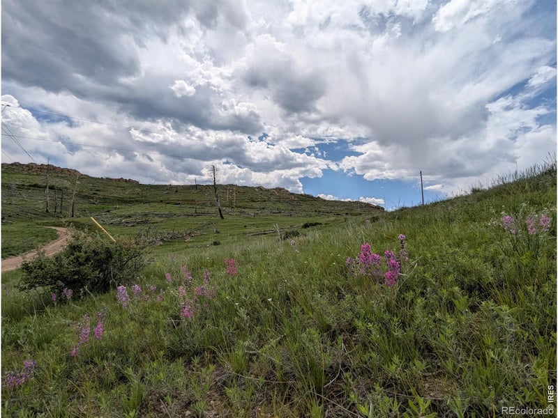 598 Mount Mcconnell Dr, Livermore, CO 80536