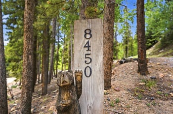 8450 London Ln, Conifer, CO 80433