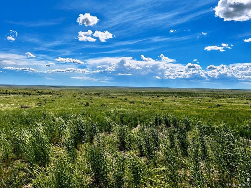County Road 80, Briggsdale, CO 80611