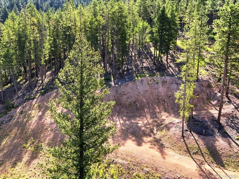 6824 Lynx Lair Rd, Evergreen, CO 80439