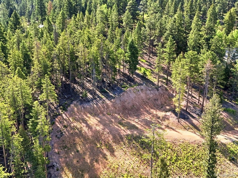 6824 Lynx Lair Rd, Evergreen, CO 80439