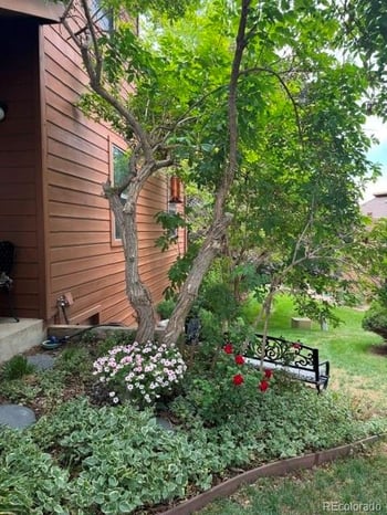 254 Zang St, Lakewood, CO 80228