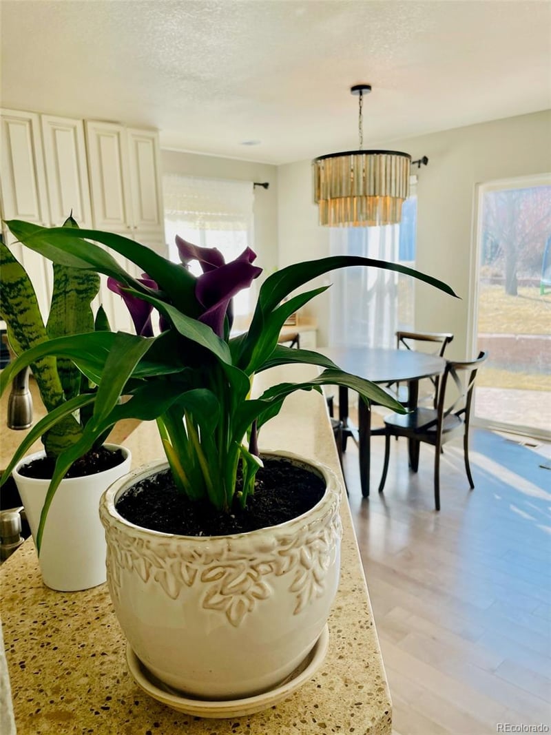 17002 66th Ln, Arvada, CO 80007