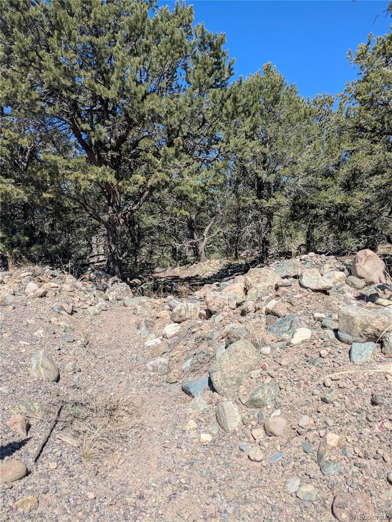 2202 Spanish Creek Rd, Crestone, CO 81131