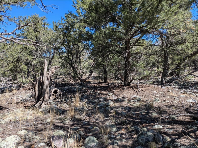 2202 Spanish Creek Rd, Crestone, CO 81131
