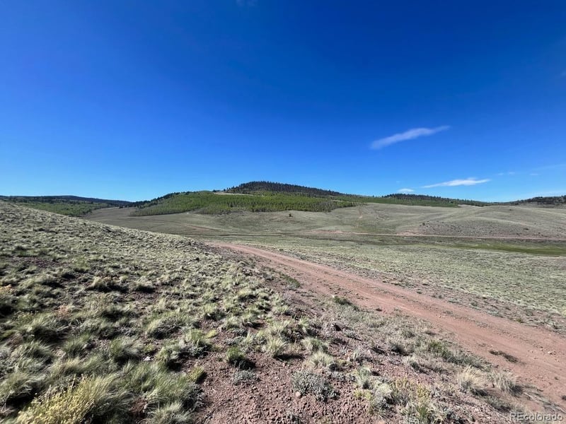 110 Watonga Rd, Guffey, CO 80449