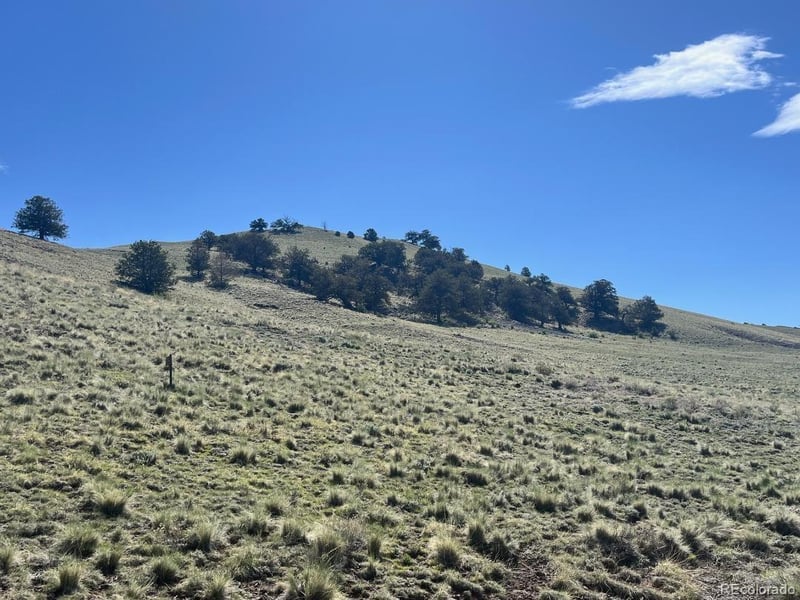110 Watonga Rd, Guffey, CO 80449