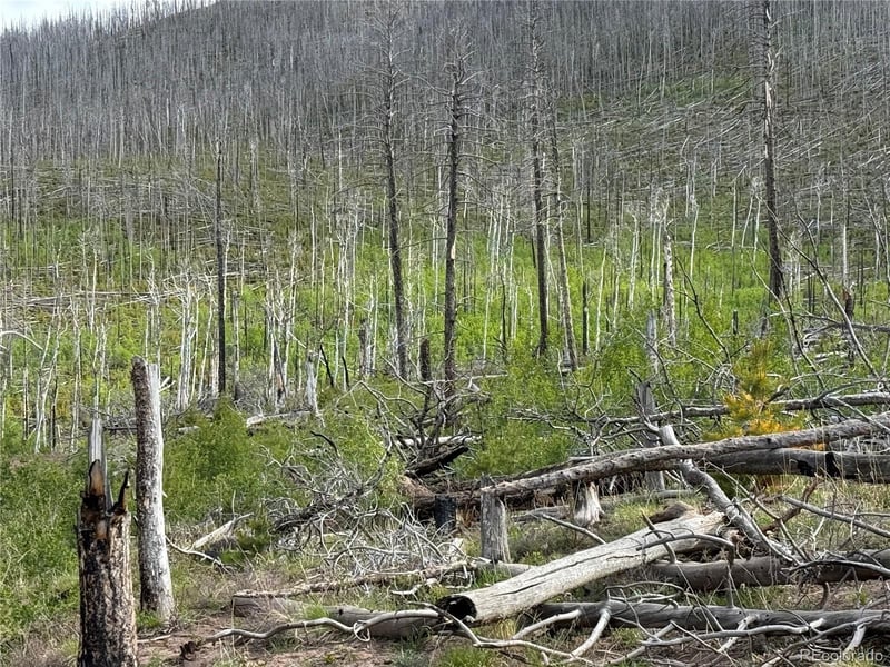 Lot 1996 Strauss Ln Lot 1996, Fort Garland, CO 81133