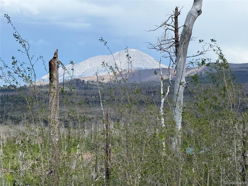 Lot 1996 Strauss Ln Lot 1996, Fort Garland, CO 81133