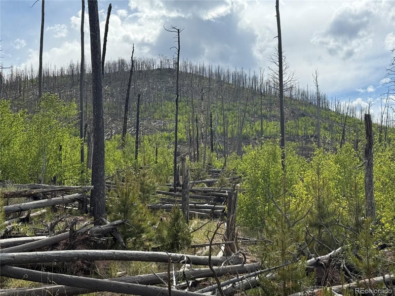 Lot 1996 Strauss Ln Lot 1996, Fort Garland, CO 81133