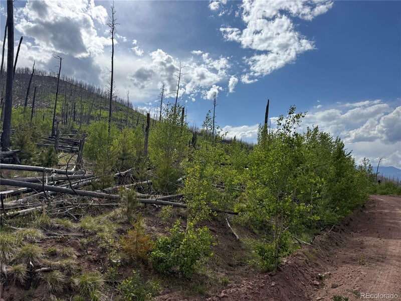 Lot 1997 Strauss Ln Lot 1997, Fort Garland, CO 81133