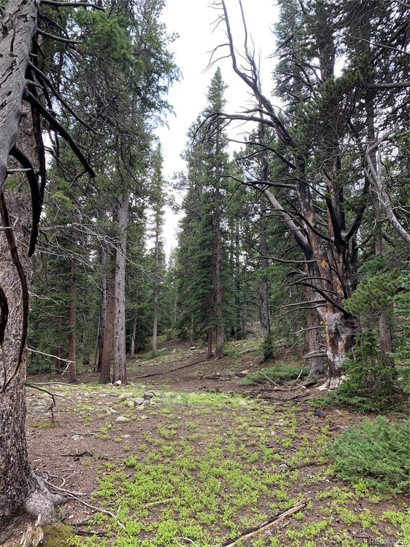 117 Miners Way, Fairplay, CO 80440