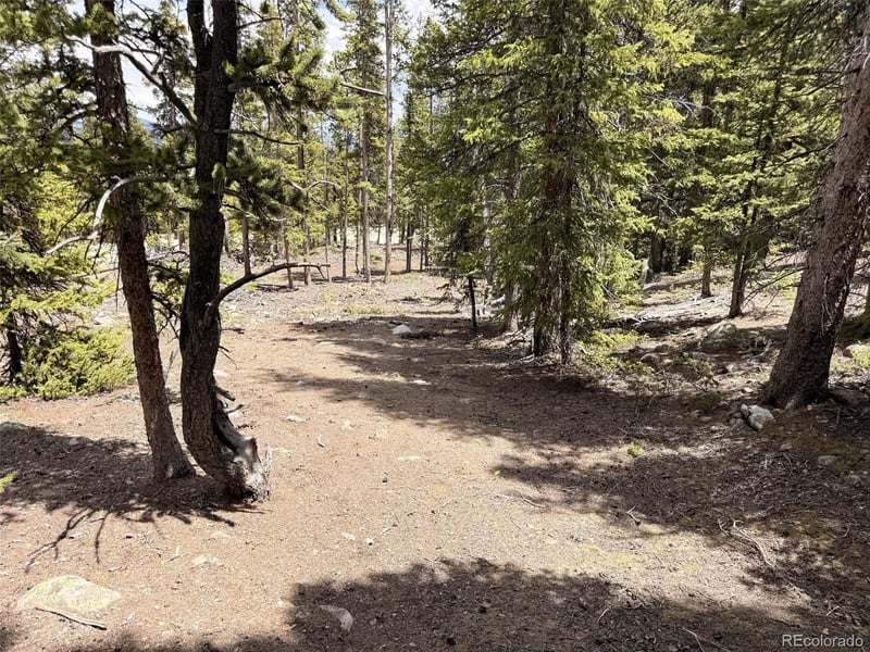 117 Miners Way, Fairplay, CO 80440