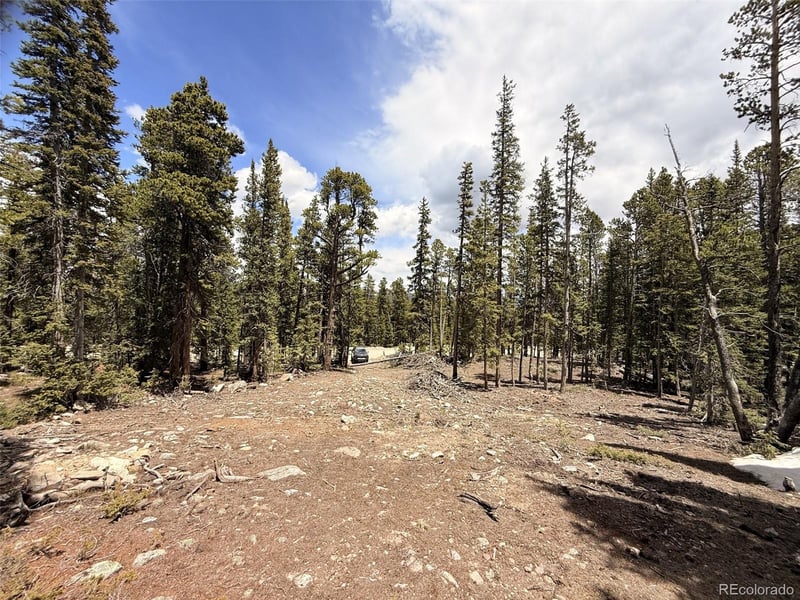 117 Miners Way, Fairplay, CO 80440