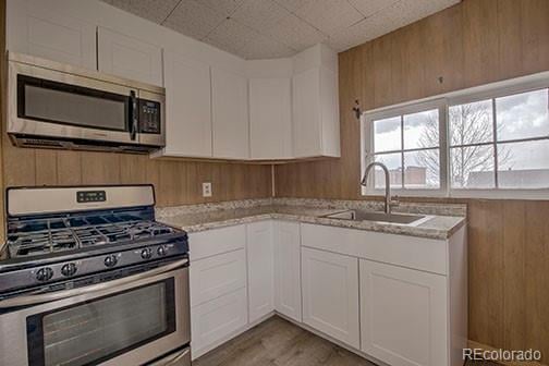 138 4th St, Leadville, CO 80461