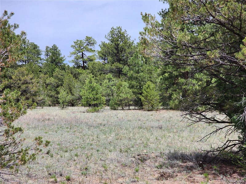 000 7th Trl, Cotopaxi, CO 81223