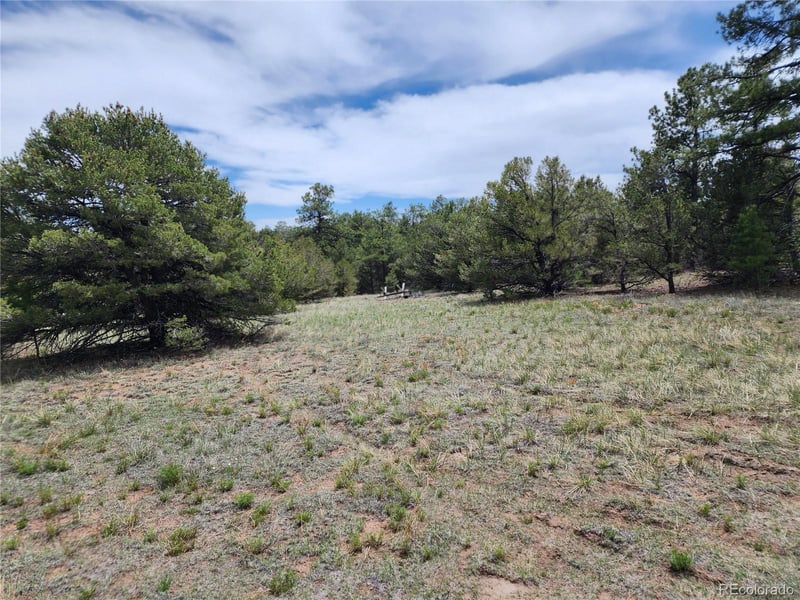 000 7th Trl, Cotopaxi, CO 81223