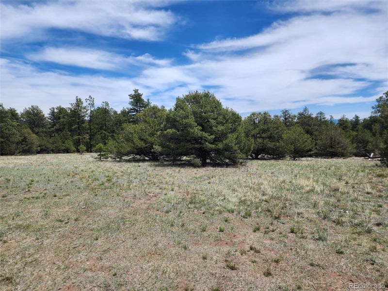 000 7th Trl, Cotopaxi, CO 81223
