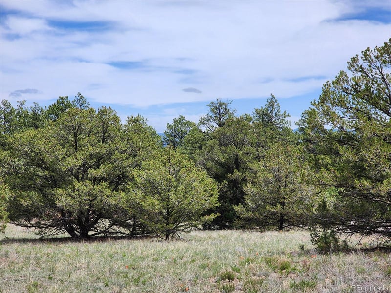 000 7th Trl, Cotopaxi, CO 81223