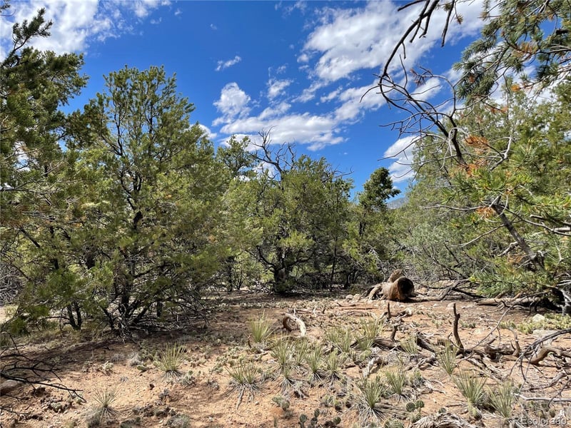 4286 Fallen Tree, Crestone, CO 81131