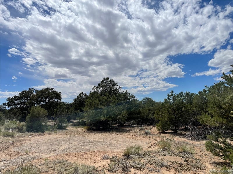 4286 Fallen Tree, Crestone, CO 81131