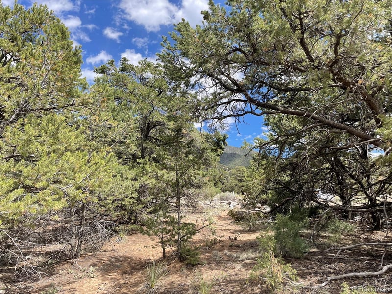 4286 Fallen Tree, Crestone, CO 81131
