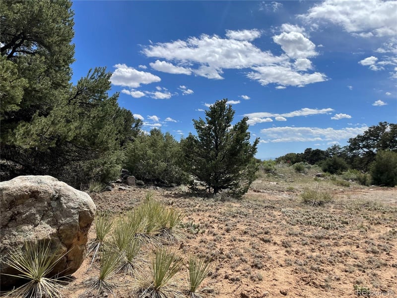 4286 Fallen Tree, Crestone, CO 81131
