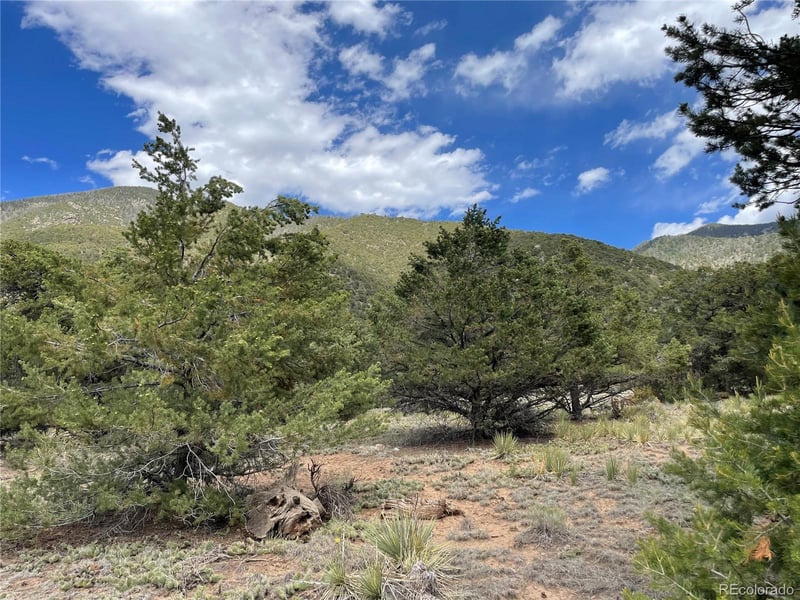 4303 Fallen Tree, Crestone, CO 81131