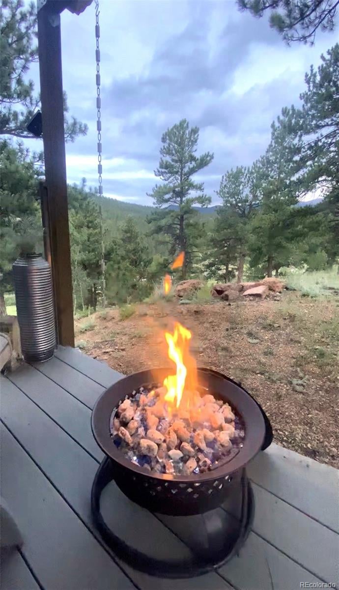226 Hall Rd, Bailey, CO 80421