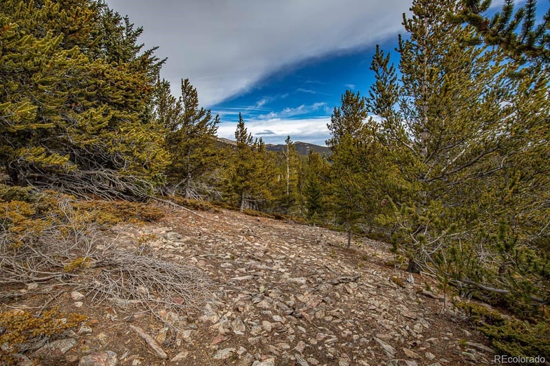 Lot 530 Hilltop Rd Lot 530, Idaho Springs, CO 80452