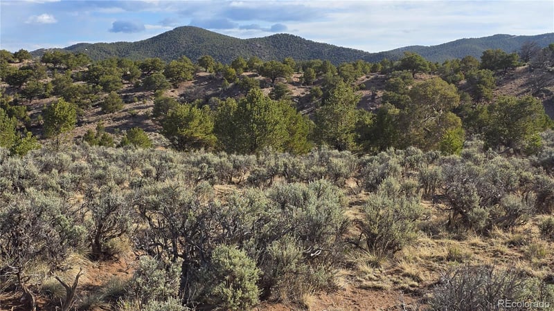 Lot 7340 Sweaney Rd Lot 7340, Fort Garland, CO 81133
