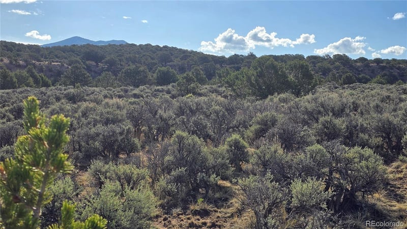 Lot 7340 Sweaney Rd Lot 7340, Fort Garland, CO 81133