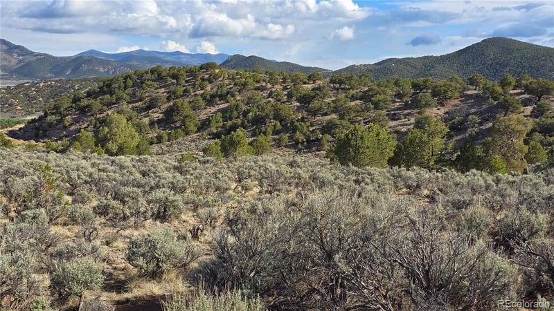 Lot 7340 Sweaney Rd Lot 7340, Fort Garland, CO 81133