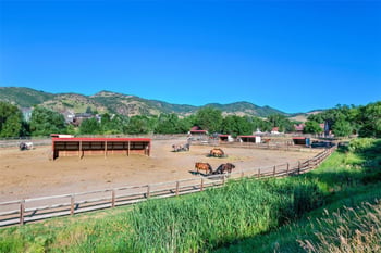 12 Willowleaf Dr, Littleton, CO 80127