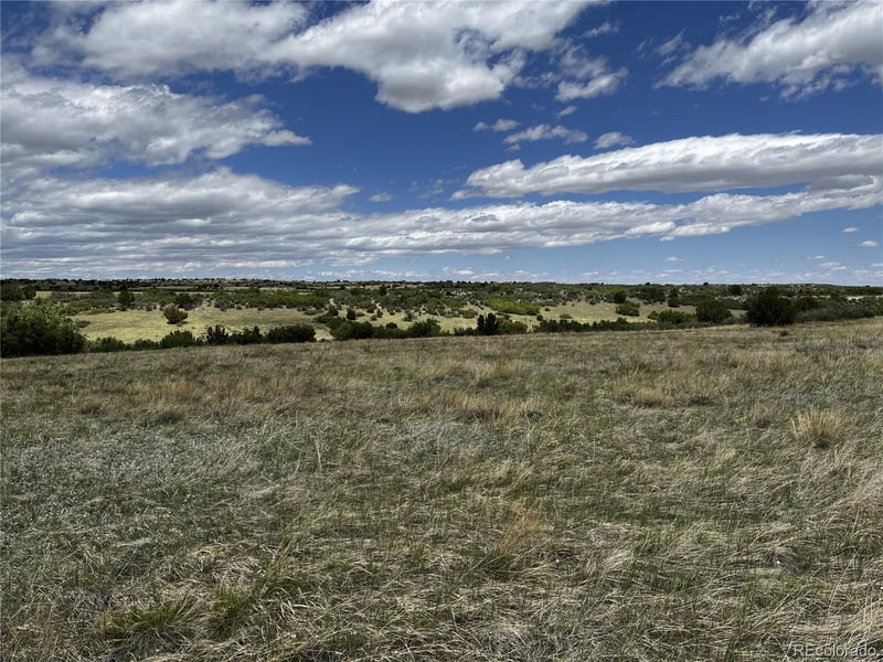Lot 142 Fort Gerry Dr Lot 142, Colorado City, CO 81019