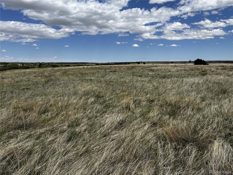 Lot 142 Fort Gerry Dr Lot 142, Colorado City, CO 81019
