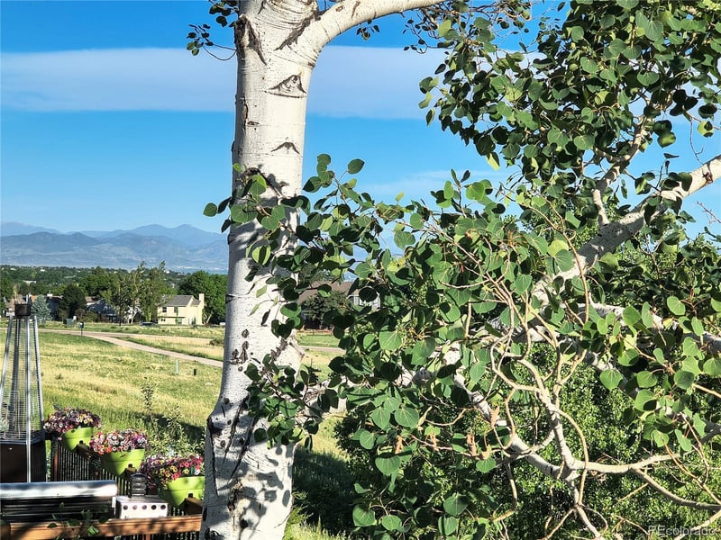 6945 Mountain Brush Cir, Littleton, CO 80130