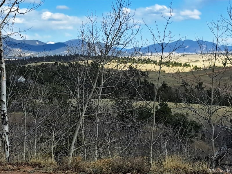908 Raven Way, Como, CO 80432