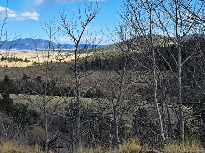 908 Raven Way, Como, CO 80432