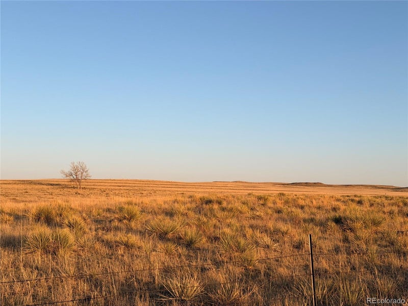 25411 County Rd 105, Simla, CO 80835