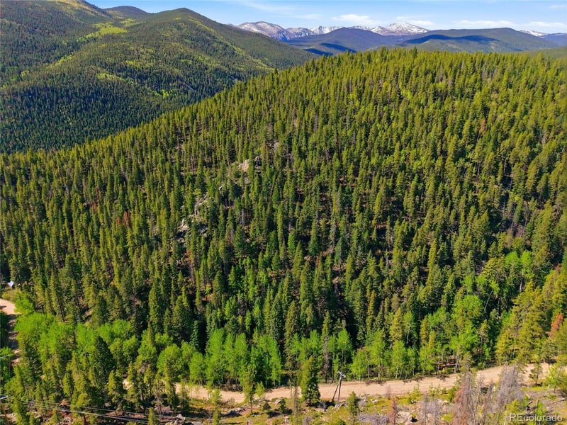 600 Ute Creek Rd, Idaho Springs, CO 80452