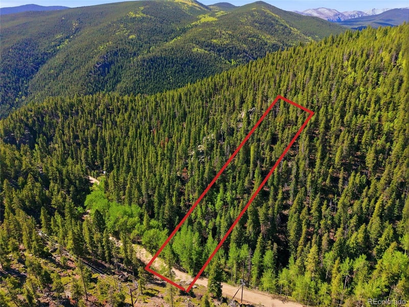 600 Ute Creek Rd, Idaho Springs, CO 80452
