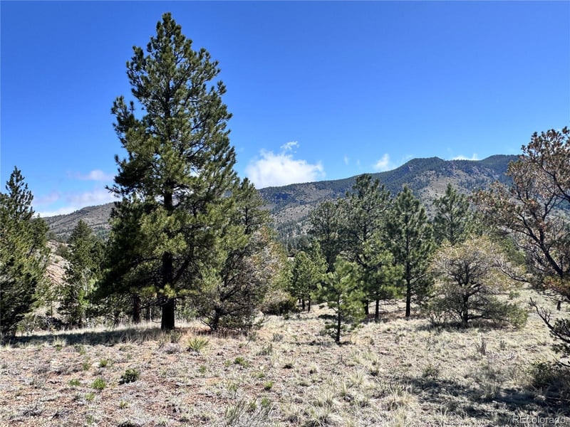 Dilley Rd Lot 12, Westcliffe, CO 81252
