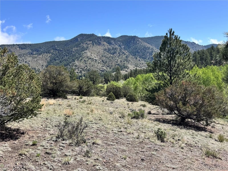 Dilley Rd Lot 12, Westcliffe, CO 81252