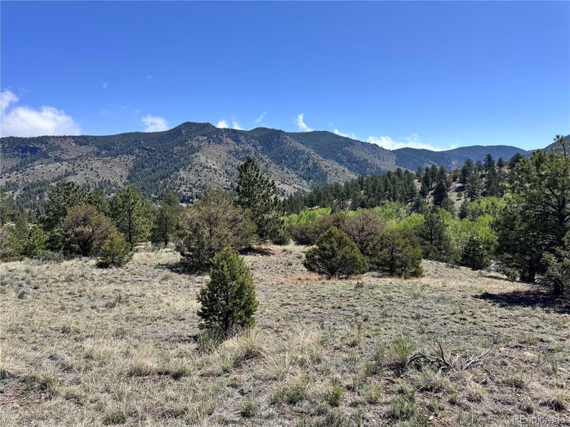 Dilley Rd Lot 12, Westcliffe, CO 81252