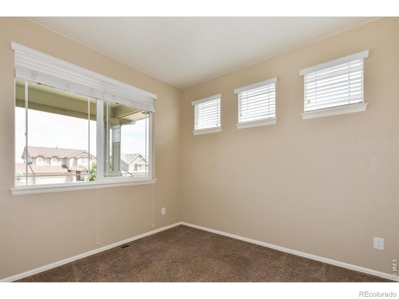 2157 Longfin Dr, Windsor, CO 80550