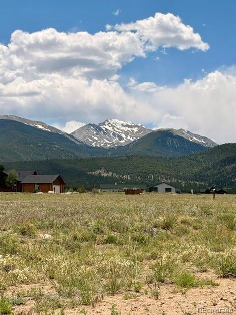 17550 Pony Rn, Buena Vista, CO 81211