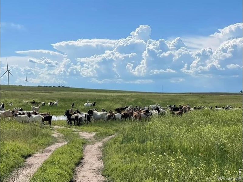 , Fleming, CO 80728