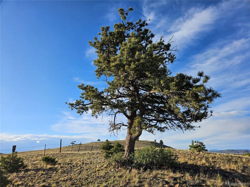 Antero Rd Lot 5071, Hartsel, CO 80449